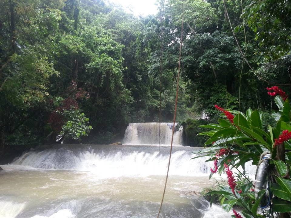 A waterfall framed by red ginger in the Jamaican bush