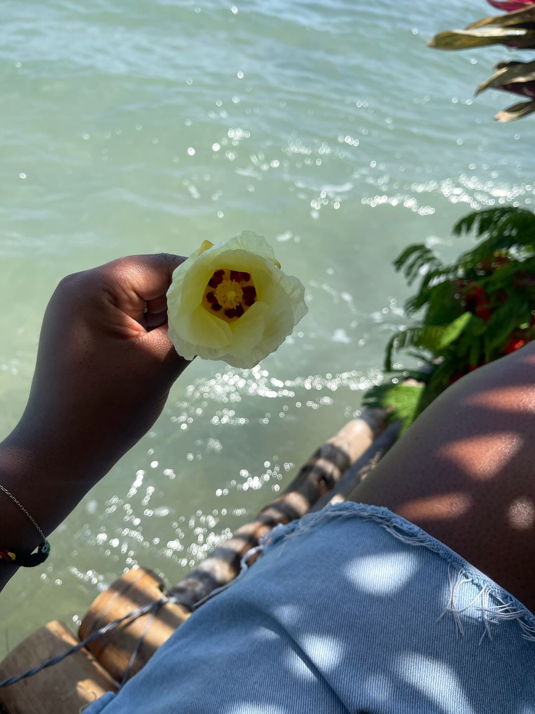 A hand holding a yellow blossom over the sea