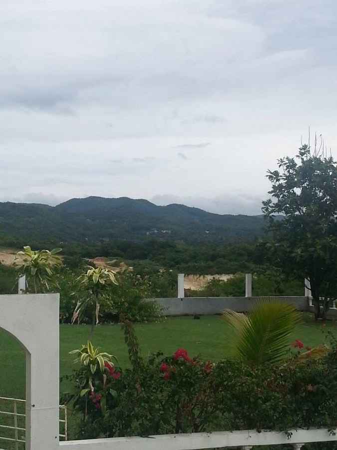 Hills beyond a garden wall and flowering shrubs