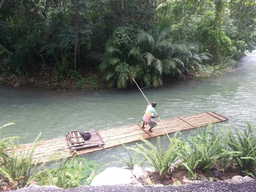 A raftsman poling a bamboo raft down a green river